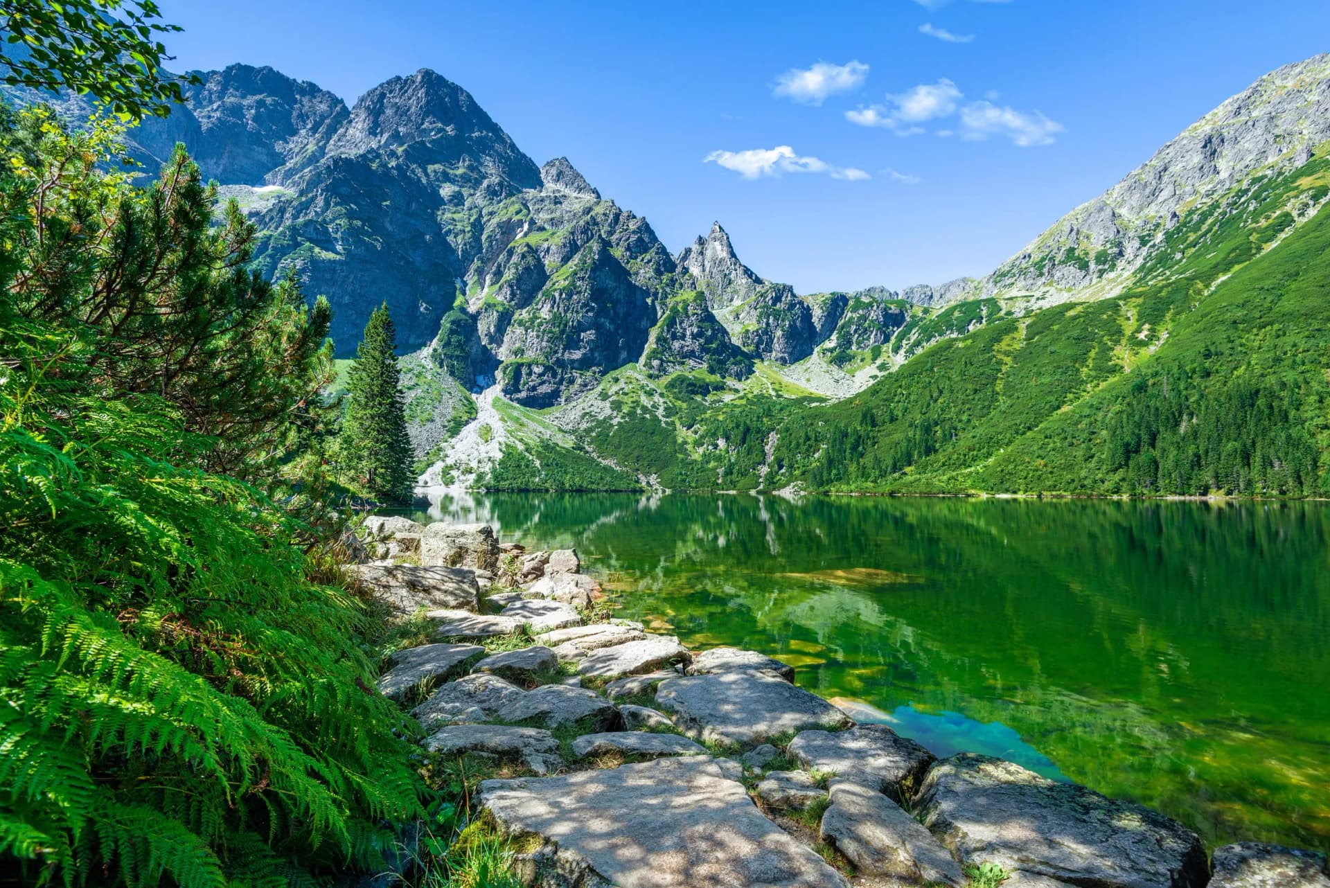 Mountain lake with green water reflecting steep, rocky peaks and lush foliage in the Tatras.