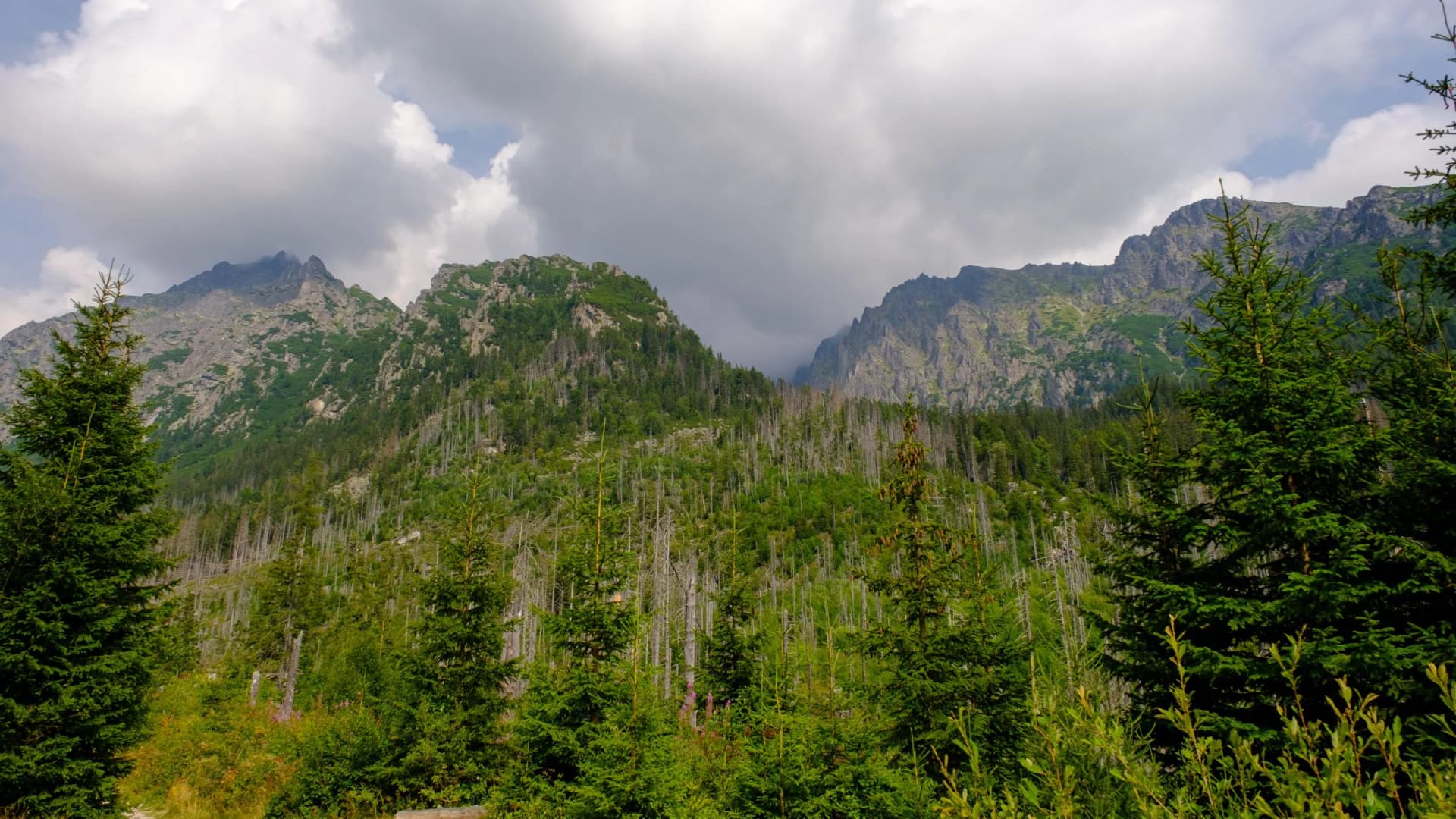 Blue haze in the mountains before the storm. Vysoke Tatry, High Tatras mountain view at Hrebienok, Stary Smokovec, in summer. High Tatras mountain, Slovakia