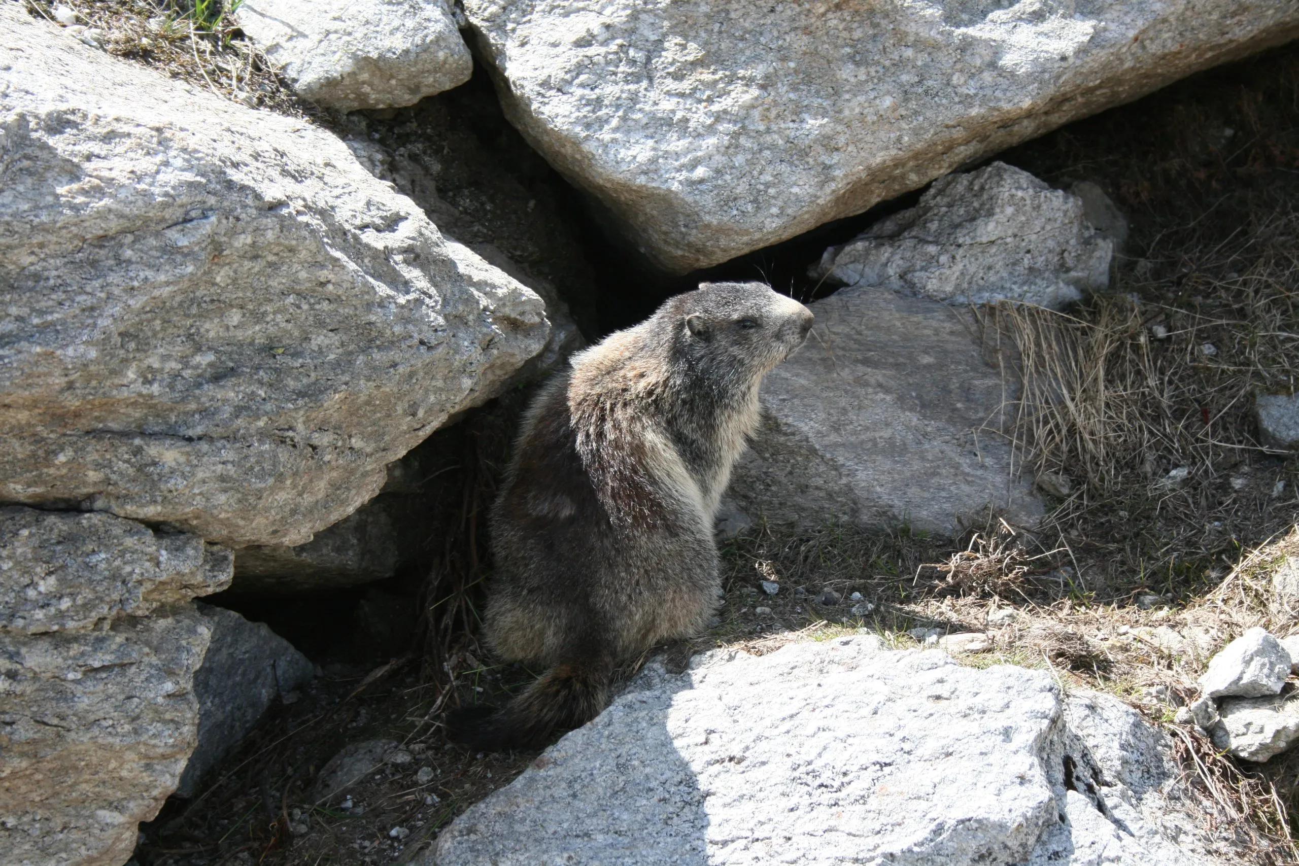 Day 4 image 2