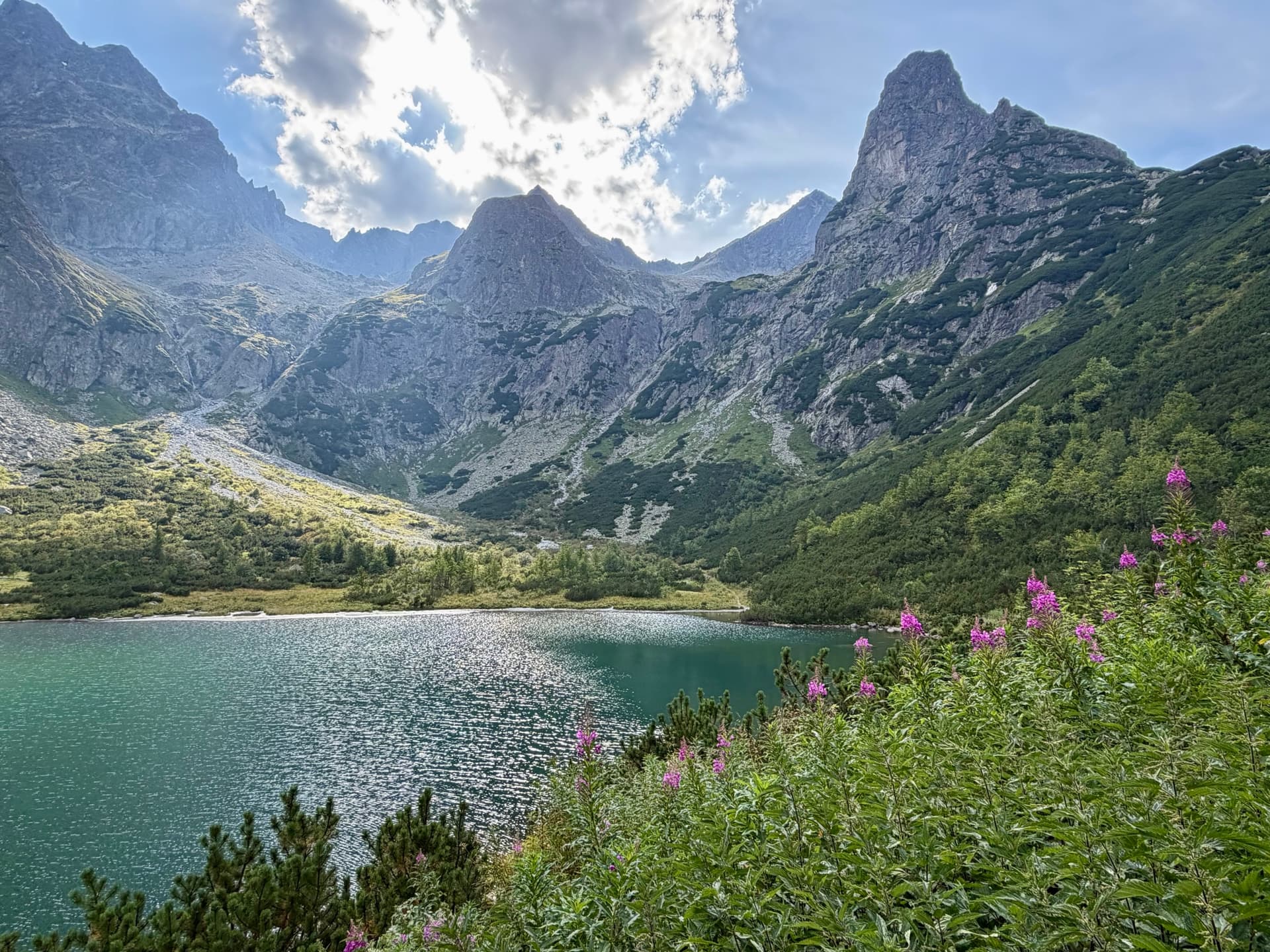 Alpine lake with green water below jagged mountain peaks and pink wildflowers