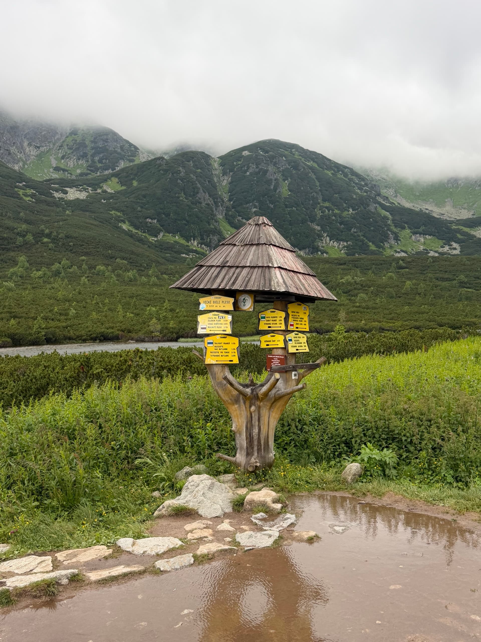 Carved wooden signpost with yellow trail markers on a mountain hiking trail
