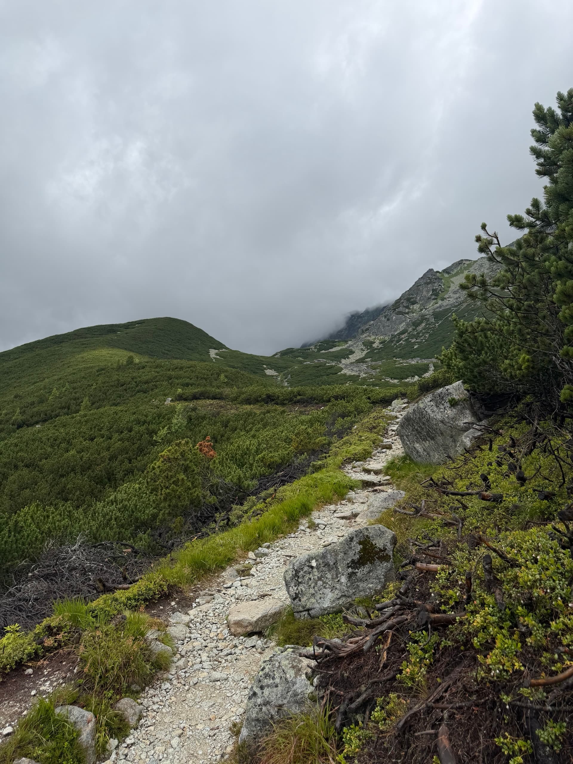 Rocky hiking trail across green mountain slope under cloudy sky