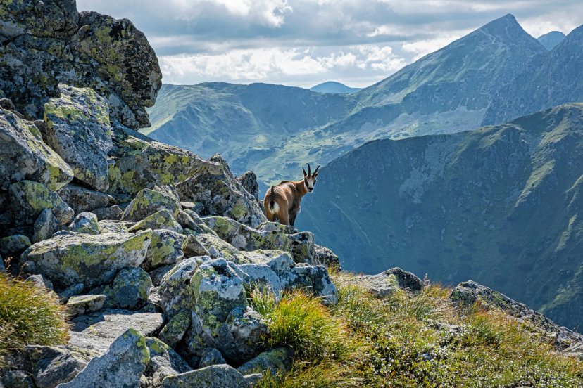 Best of Tatras Hütte-zu-Hütte-Wanderung