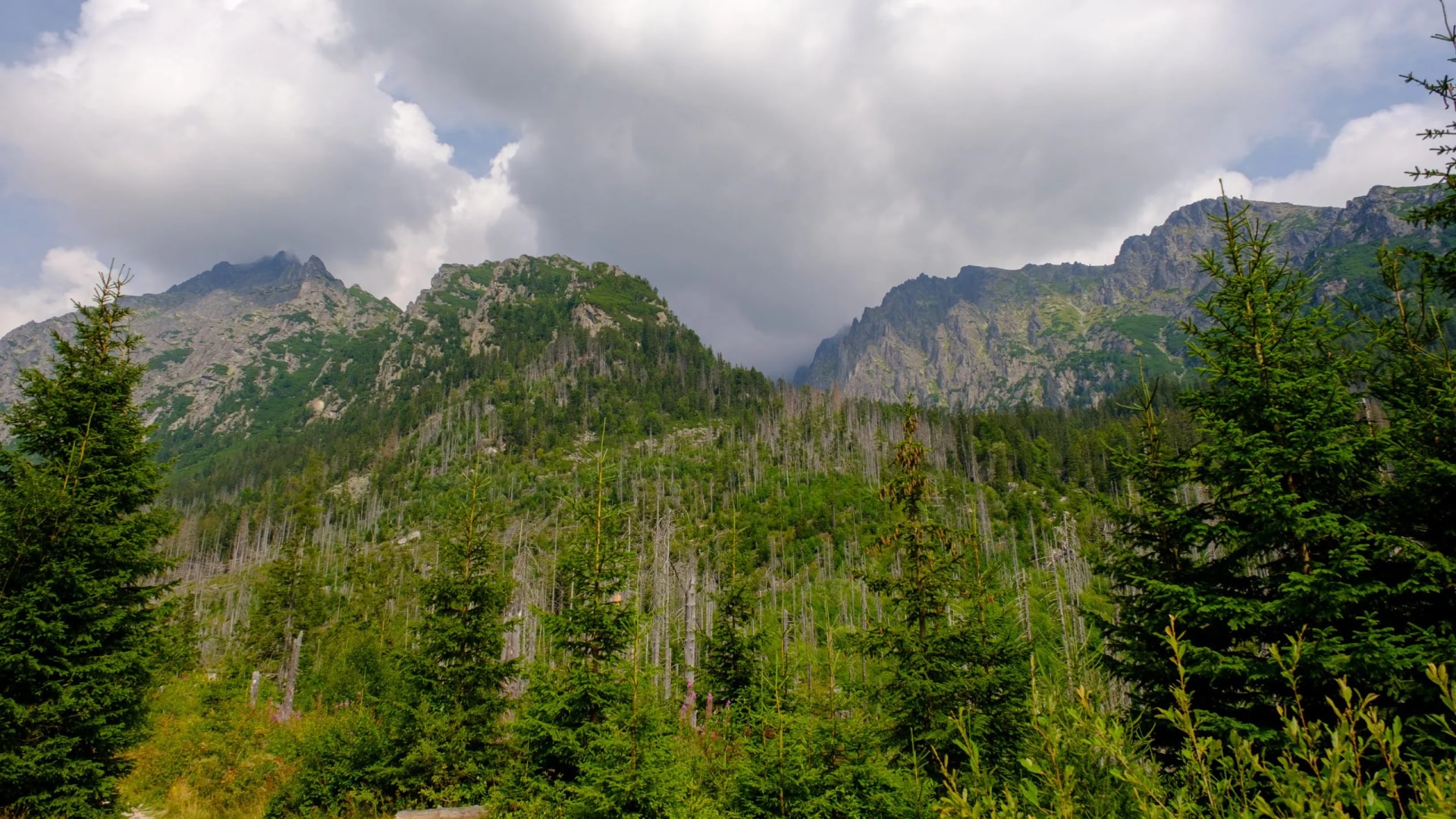 Blue haze in the mountains before the storm. Vysoke Tatry, High Tatras mountain view at Hrebienok, Stary Smokovec, in summer. High Tatras mountain, Slovakia