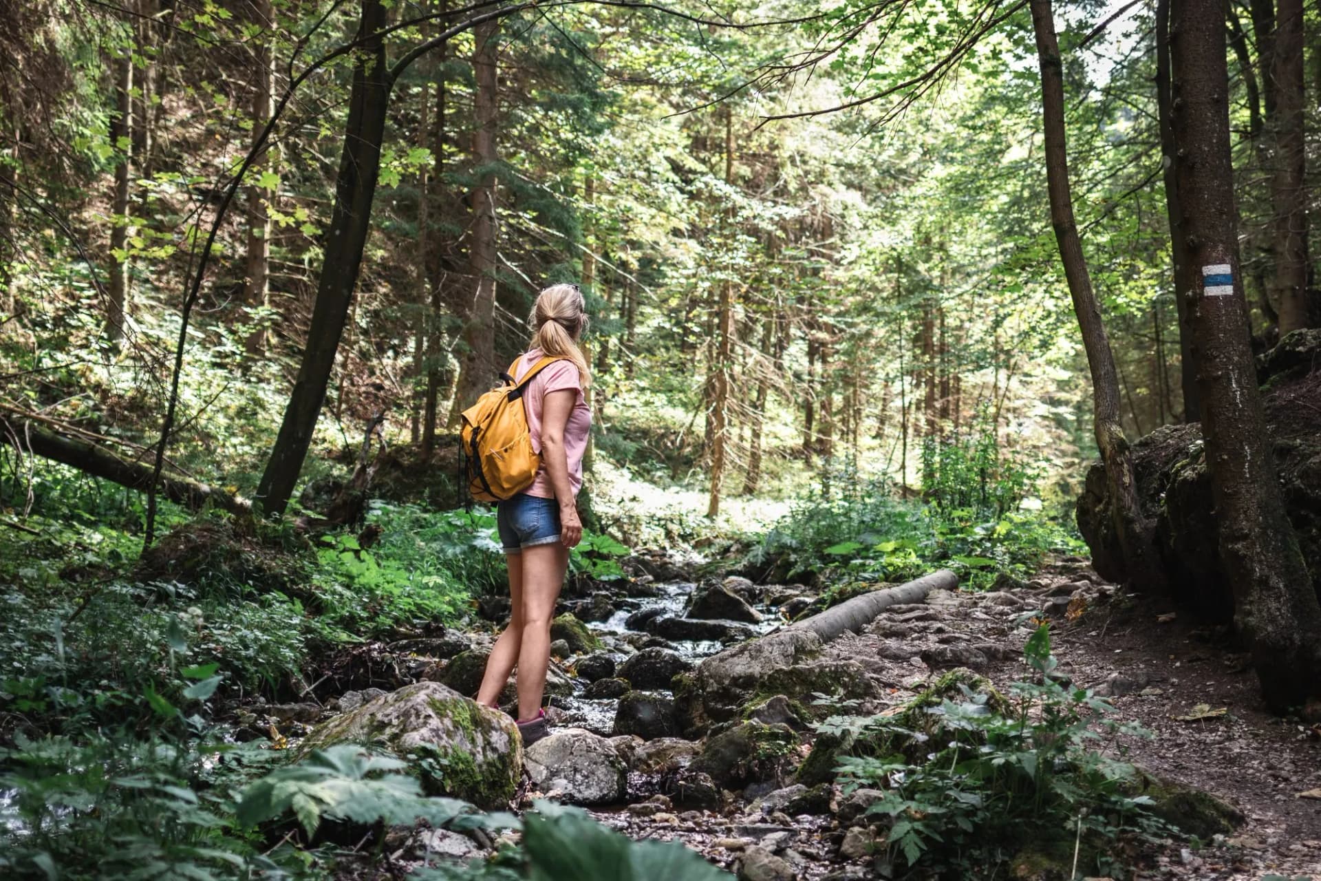 Tourist hiking in mountain trail. Woman with backpack is walking at stream in forest. Summer vacation in natural park Mala Fatra, Slovakia